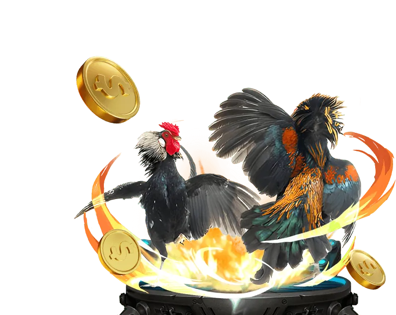 Đá gà Philippines SV388